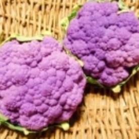 紫カリフラワー 美しいマリネ レシピ 作り方 By ブルーボリジ 楽天レシピ